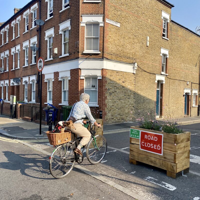 Woman with dog in basket cycling past an LTN planter