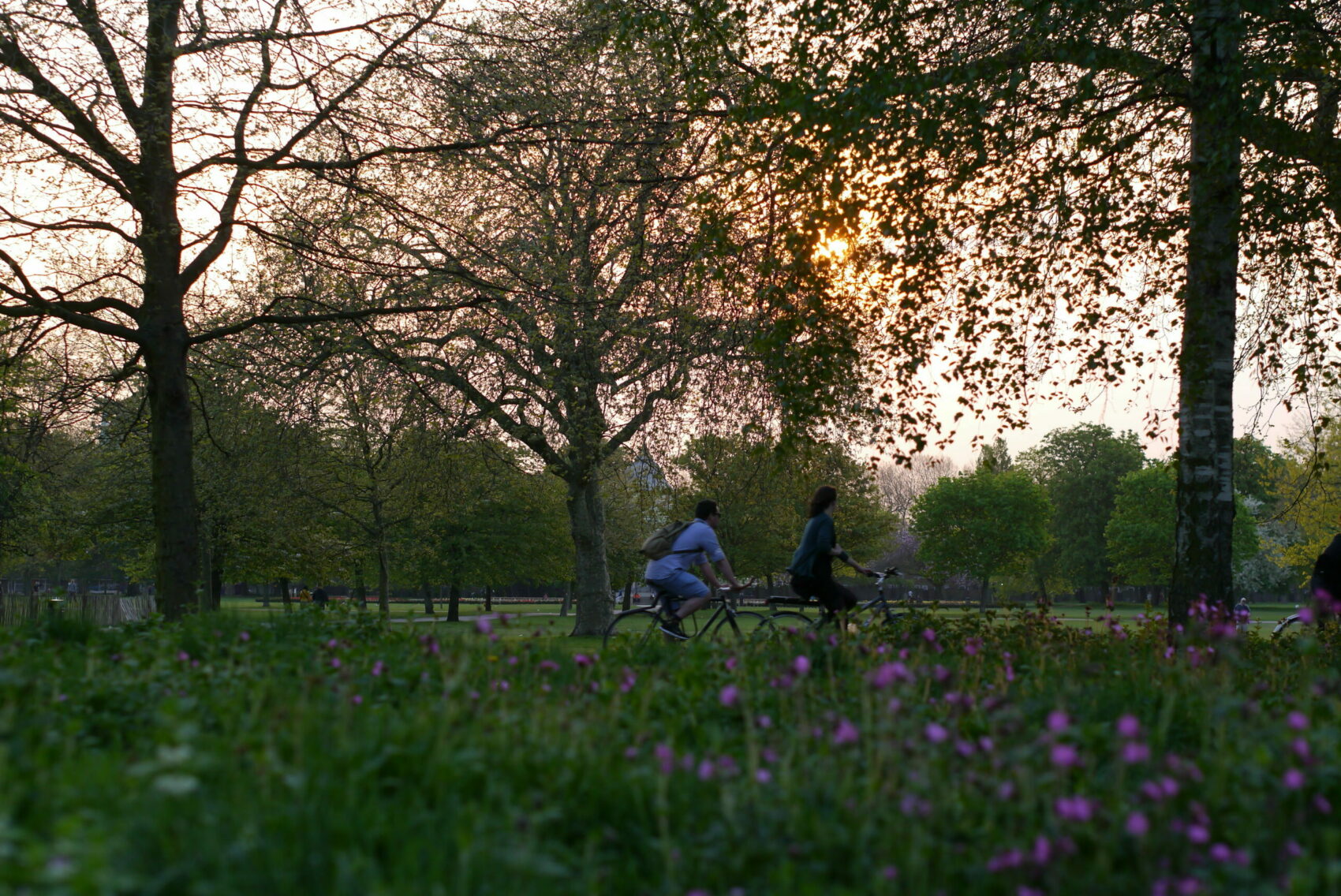 People cycling through park with sunshine